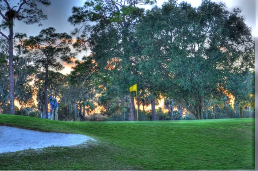 Dunedin Golf Coure And Country Club In Florida