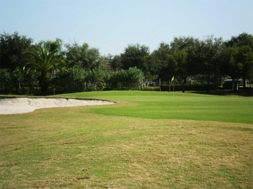 Heritage Harbor Golf & Country Club Lutz Florida