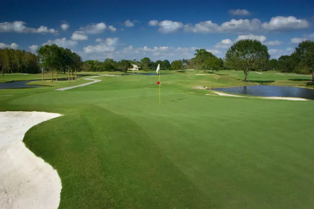 Palmer Golf Course-wesley-chapel florida