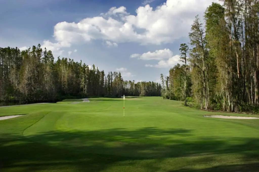 Saddlebrook Golf Course-wesley-chapel florida
