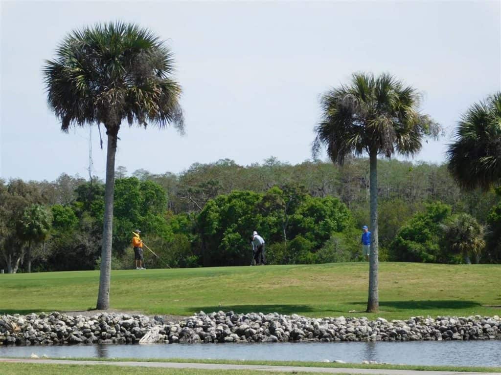 Tarpon Springs Golf Club Florida