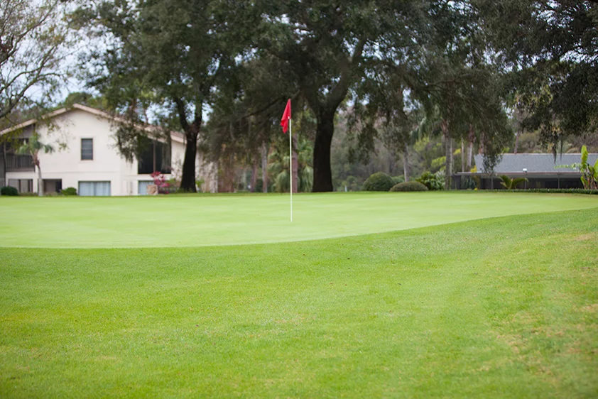 Tarpon Woods Golf Club-Palm Harbor Florida