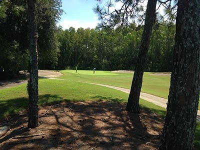 Wentworth Golf Club - Tarpon Springs Florida