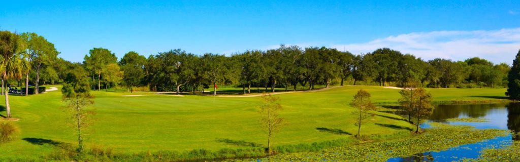 Mangrove Bay Golf Course-st. petersburg florida