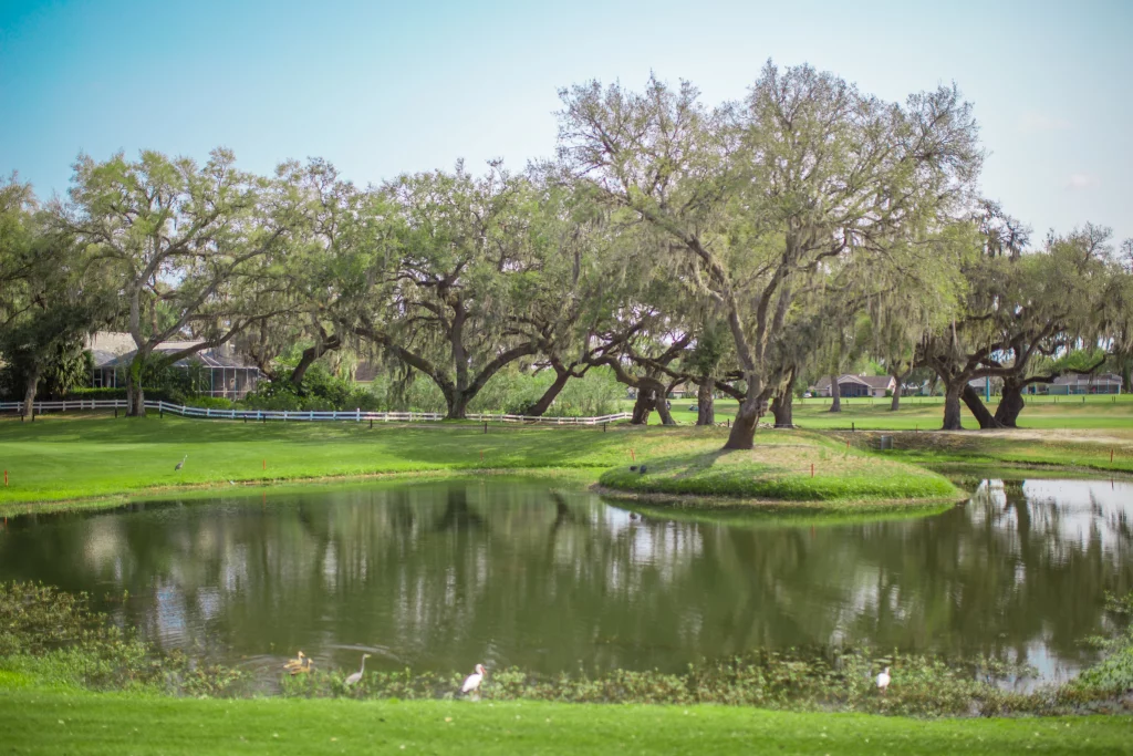 Silverado Golf And Country Club-Zephyrhills Florida
