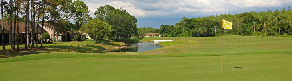 Timber Greens Golf Course - new port richey florida