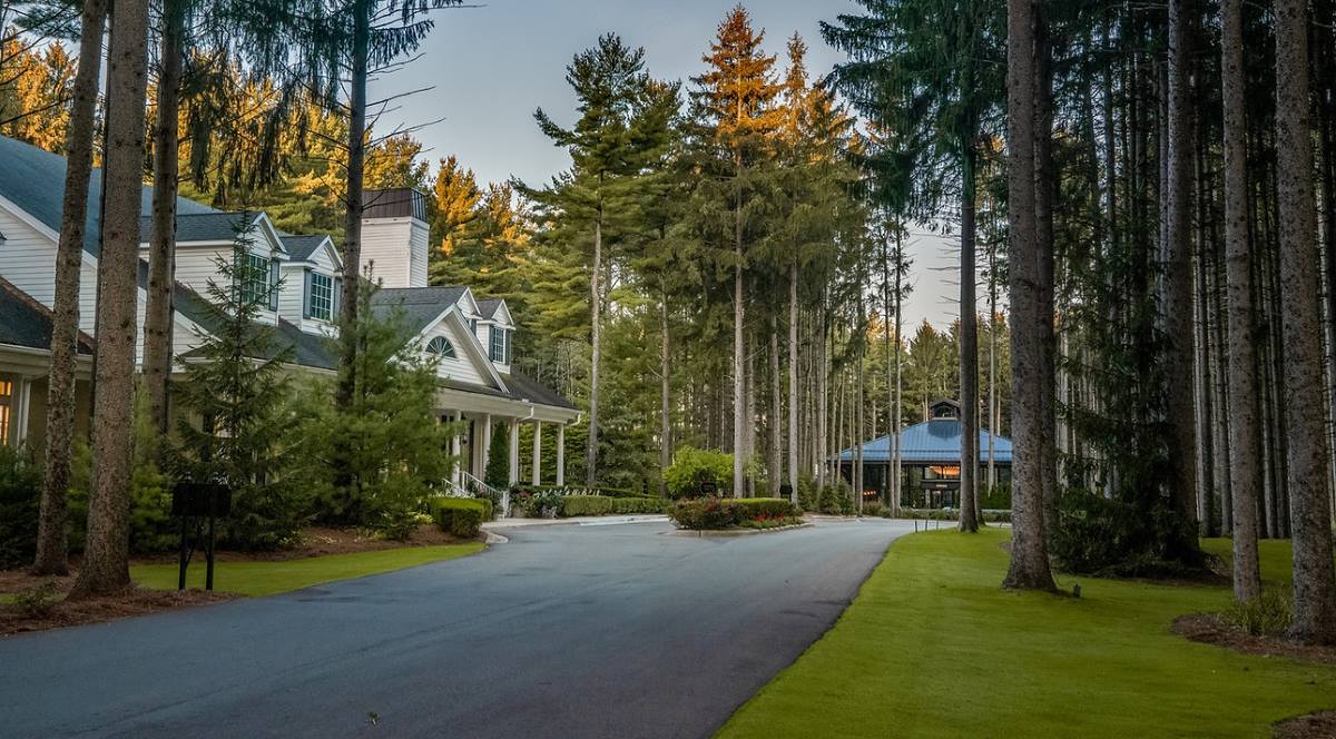 view of the pine tree lined walkway at the Shepherd's Hollow Golf Club