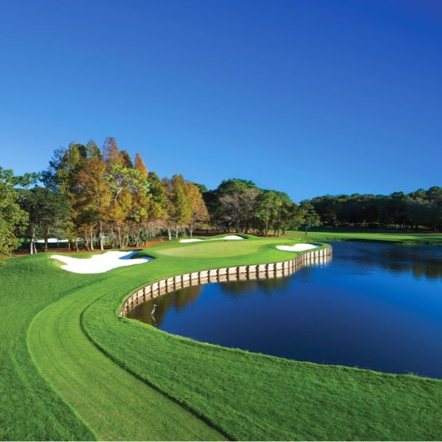 view of the greems at Copperhead Course at Innisbrook Resort 