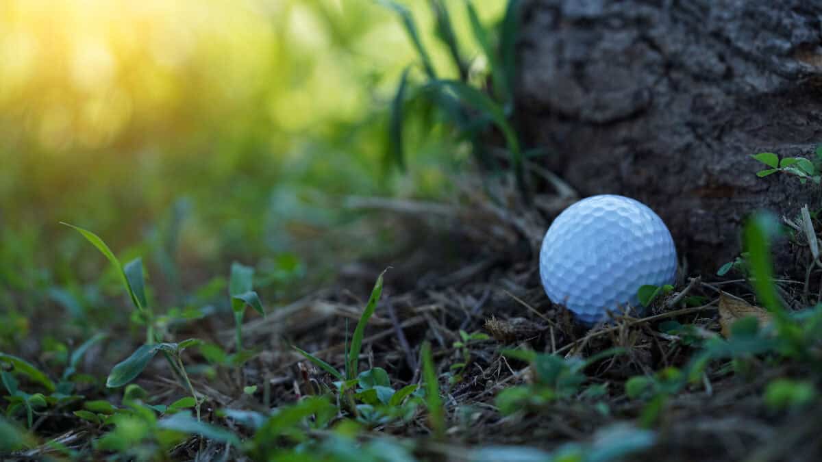Find Your Golf Ball