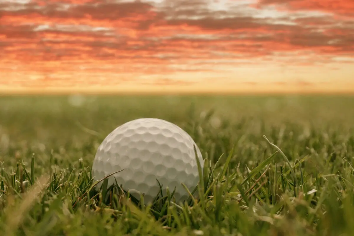 What are Biodegradable Golf Balls Made Of?