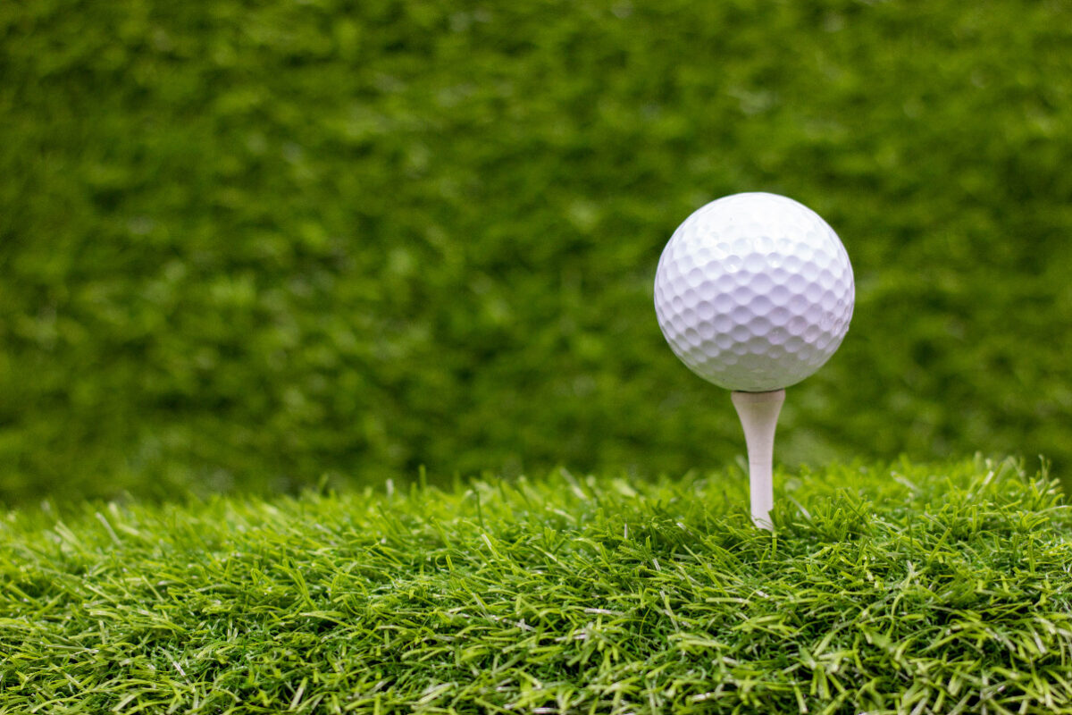 Top-Flite Golf Ball 